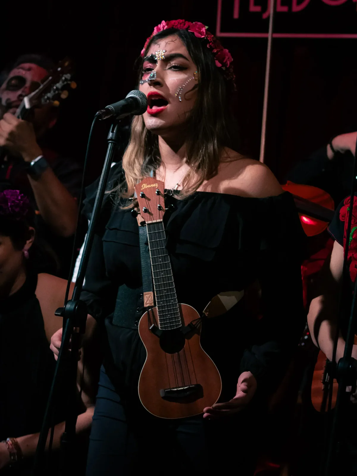 concert photography by JRMGraphy